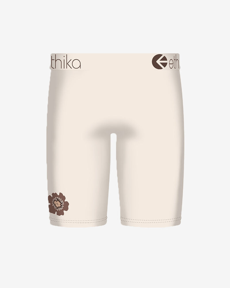 Ethika Island League Briefs MFAAAF2505 Multi 3