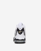 Air DT Max '96