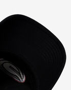 University of Georgia Dad Cap