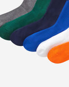 Striped 6Pk Crew Socks (L)