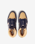 Air Jordan 1 Retro High Element