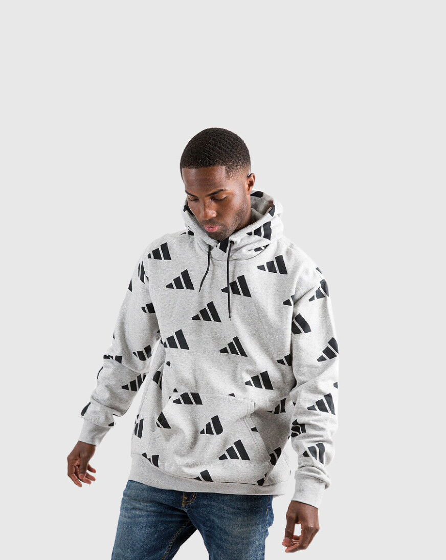 the north face men's aop hoodie