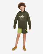 Grade School NSW Essential Graphic Hoodie