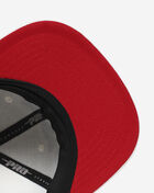 Brooklyn Nets Roses Snapback Hat