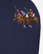 Mesh Pony Polo