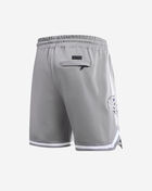 PRO STANDARD Dallas Cowboys Classic Chenille Double Knit Short FDC3410293-GRY Grey 3