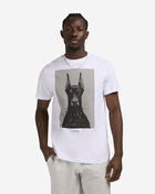 Graphic Tees Dawg Tee MT3039-US White 1