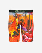 Desert Dogs Briefs