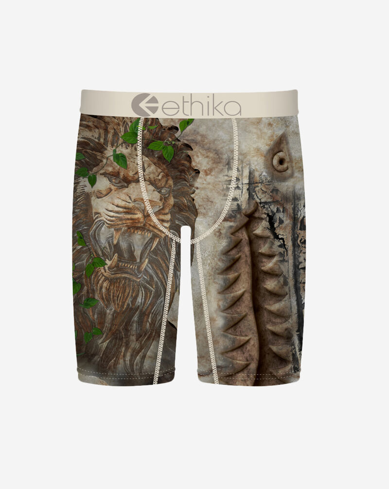 Ethika BMR In Stone Briefs MFAAAI2601 Multi 1