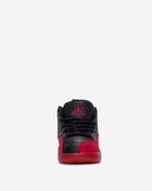 Toddler Air Jordan 12 Retro