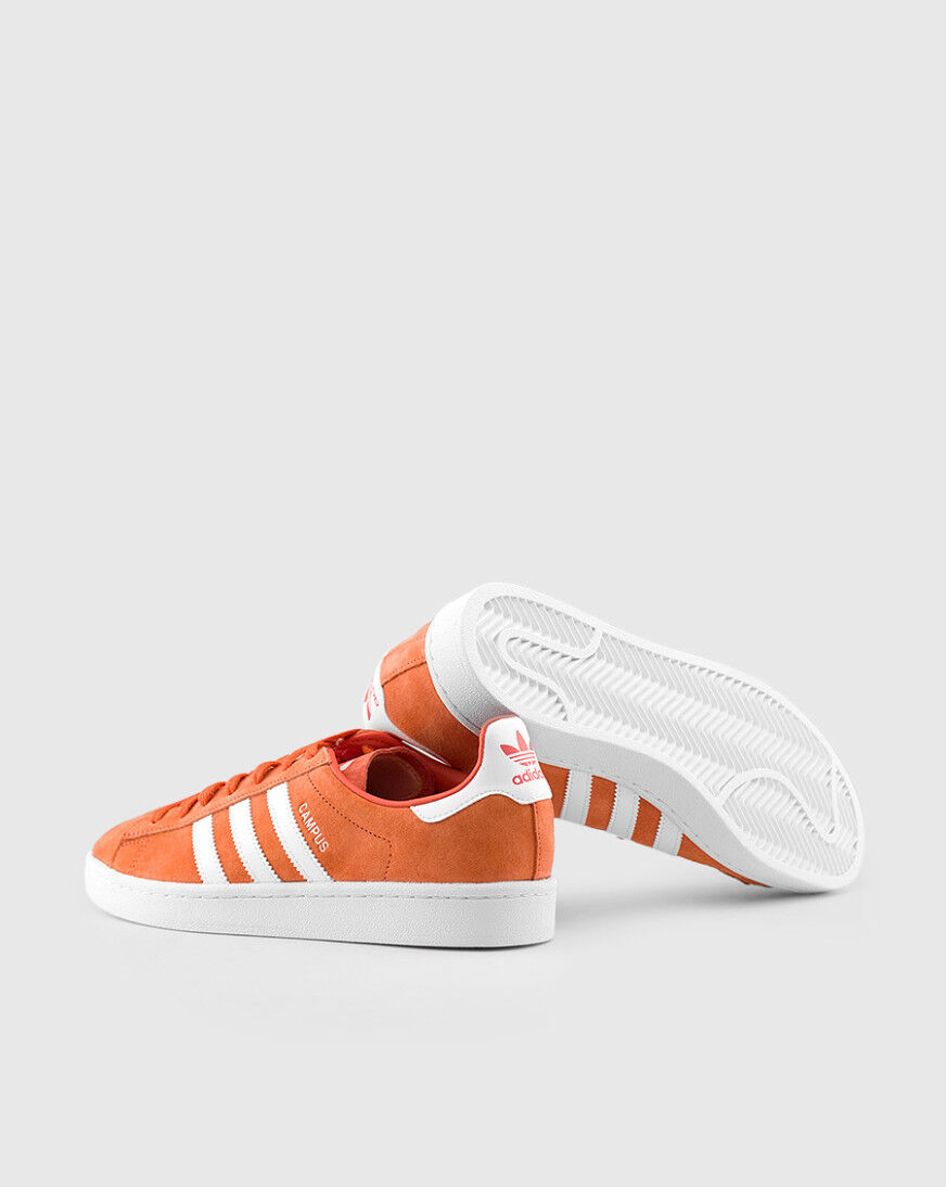 adidas campus adicolor
