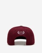 Most Likely 2 Tone Wool Trucker Hat 