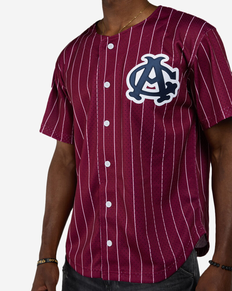 Mitchell  Ness Chicago American Giants Luis Robert Jr. Authentic Batting Practice Pinstripes Jersey JY19328-CAMMAWH Red 4