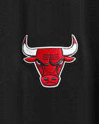 PRO STANDARD Chicago Bulls Retro Classic Fleece Crewneck BCBC56222-BKR Black 4