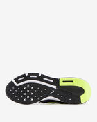 Zoom Prevail