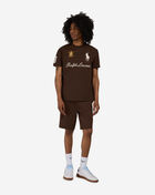 Polo Ralph Lauren Script Novelty Patch Tee 710B20010002-BRW Brown 4