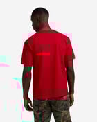 Reason NLB Detroit Stars RE5-055-RED Red 2