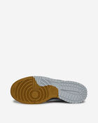 Grade School Dunk Low SE 