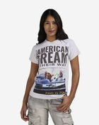 Graphic Tees Paid In Full American Dream Tee PIF0003J1062 Grey 1