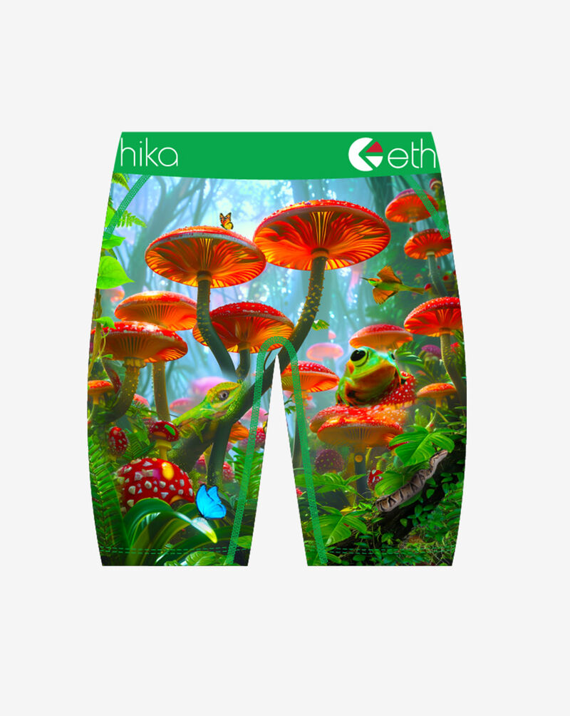 Ethika Grade School Kingdom Morning Briefs MLUS3617 Multi 3