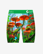 Ethika Grade School Kingdom Morning Briefs MLUS3617 Multi 3