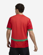 Morocco Home Soccer Jersey