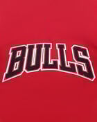 PRO STANDARD Chicago Bulls Retro Classic Double Knit Tee BCB156011-RBK Red 4