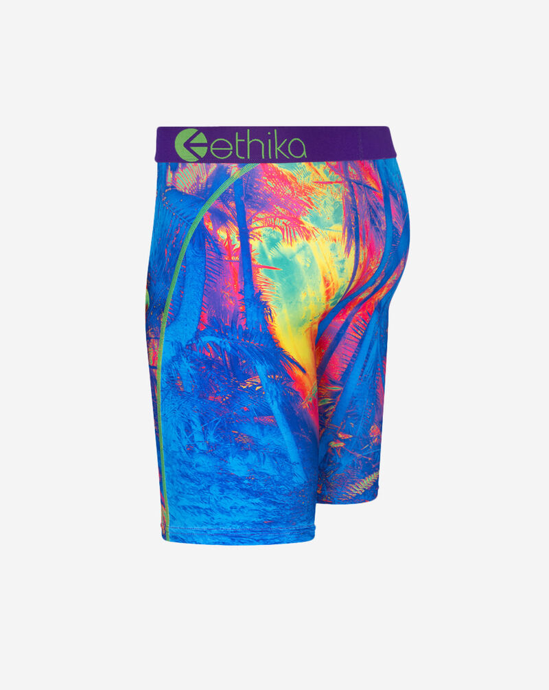 Shop Ethika Grade School Jagwa Briefs BLST2928 multi SNIPES USA