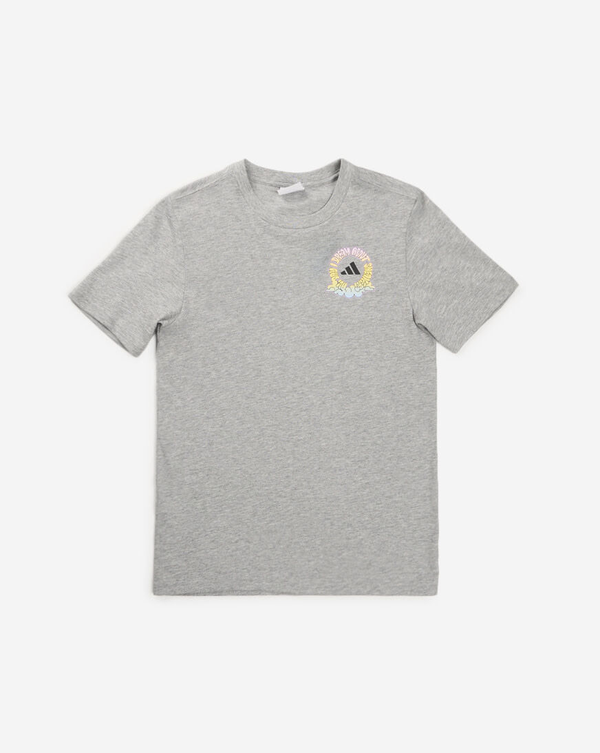 Shop adidas Kids' 90s Nostalgia City Graphic Tee AA11082-AH66 grey