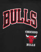 PRO STANDARD Chicago Bulls Retro Classic Fleece Crewneck BCBC56222-BKR Black 2