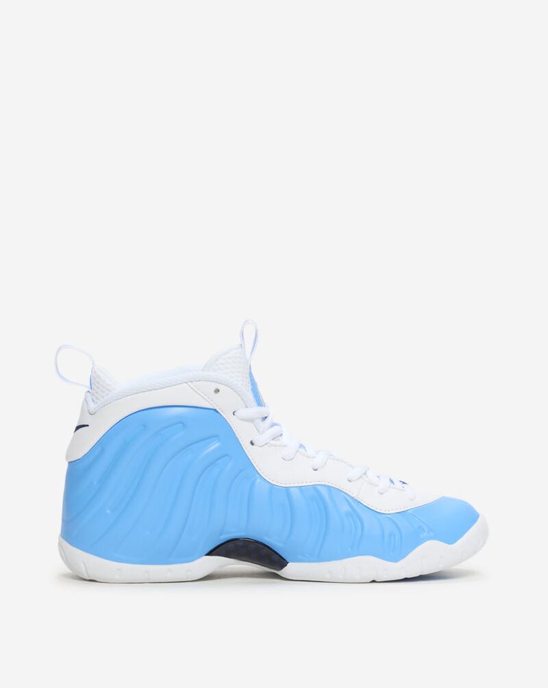 Nike Big Kids' Little Posite Pro IQ7230-400 Blue 4