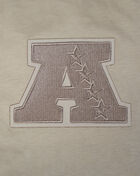 PRO STANDARD Kansas City Chiefs Wingspam Drop Shoulder Tee FKC1410487-TAU Beige 2