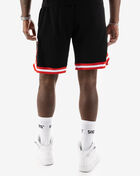 Chicago Bulls Pro Team Shorts