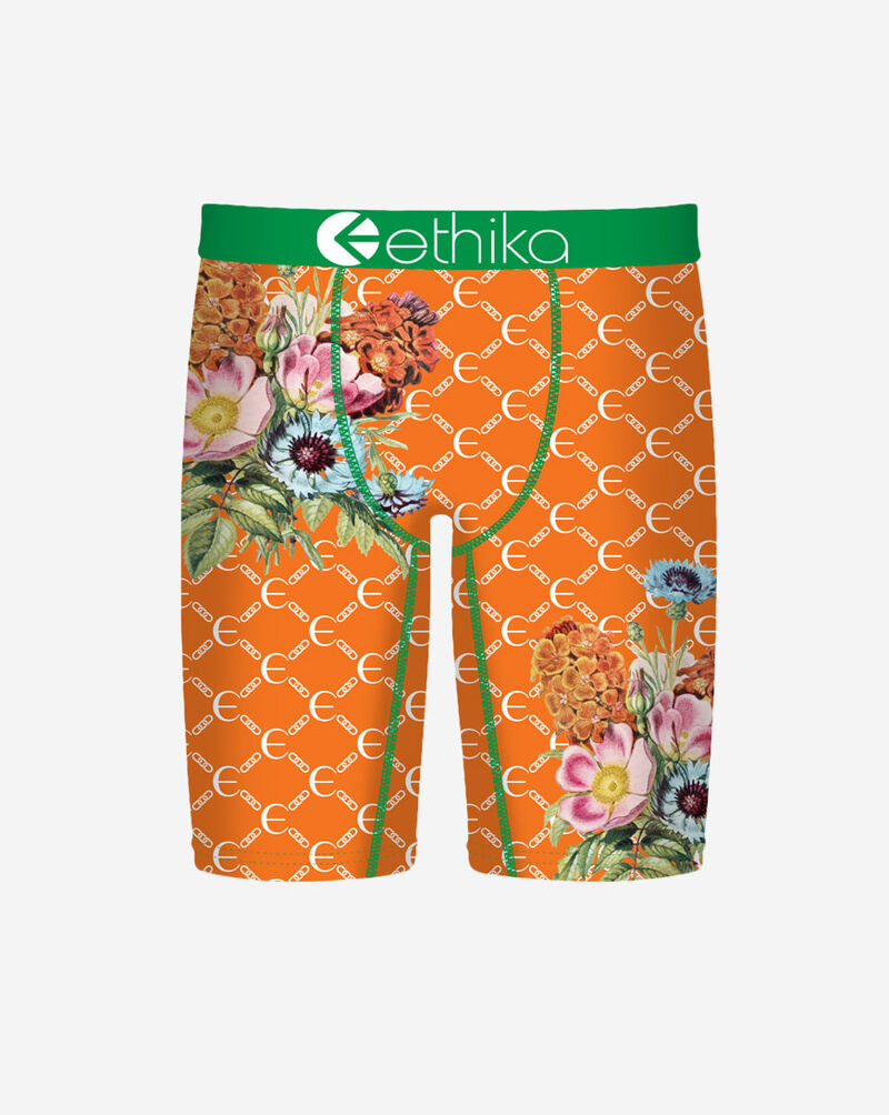 Ethika Botaness Briefs  MLUS3615 Multi 1