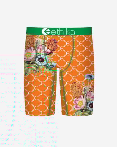 Botaness Briefs 