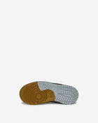 Toddler Dunk Low