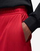 Essential Mesh Graphic Shorts