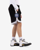 Charlotte Hornets Pro Team Shorts