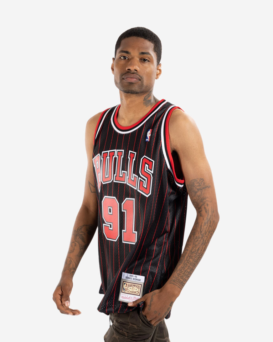 Shop Mitchell & Ness Chicago Bulls Dennis Rodman 1995-1996