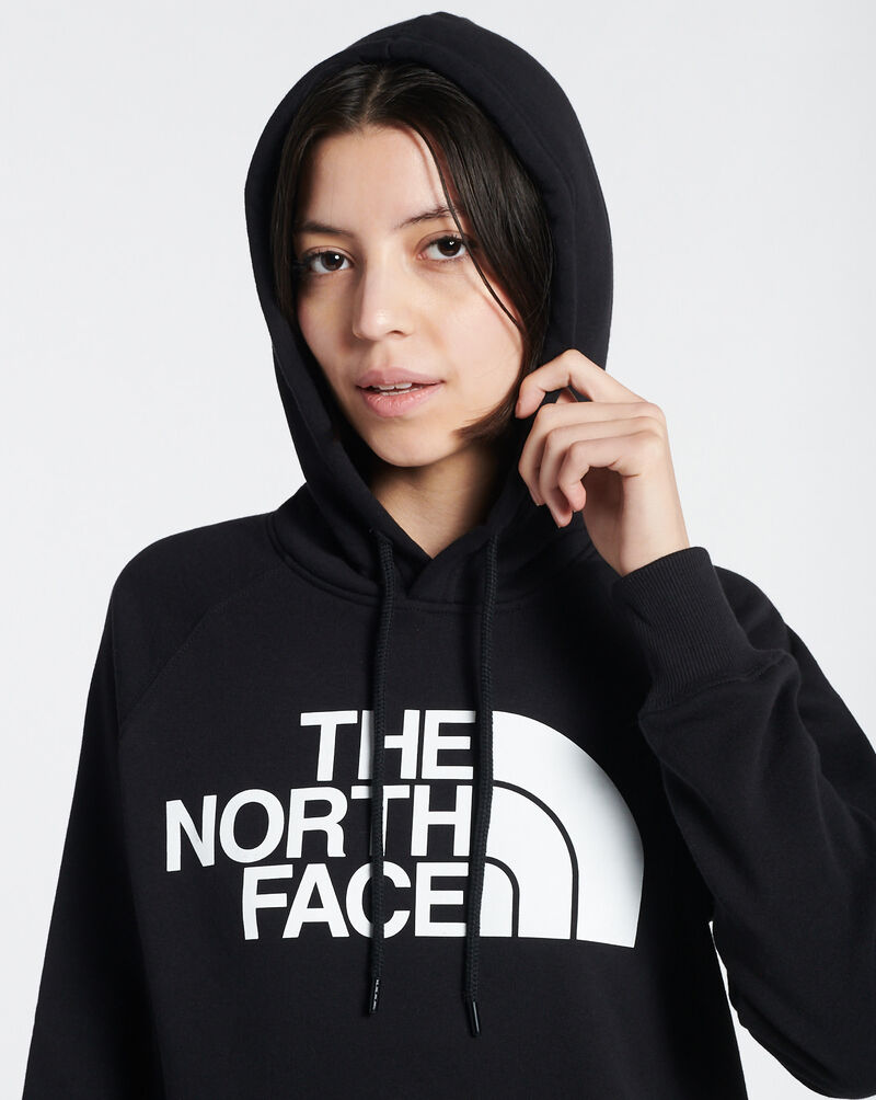 Shop The North Face Half Dome Pullover Hoodie NF0A4M4MKY4 black
