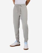 Polo Ralph Lauren Double-Knit Jogger Pant 710881518077-SGREY Grey 1