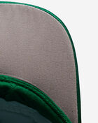 Lucky Me I See Money Trucker Hat