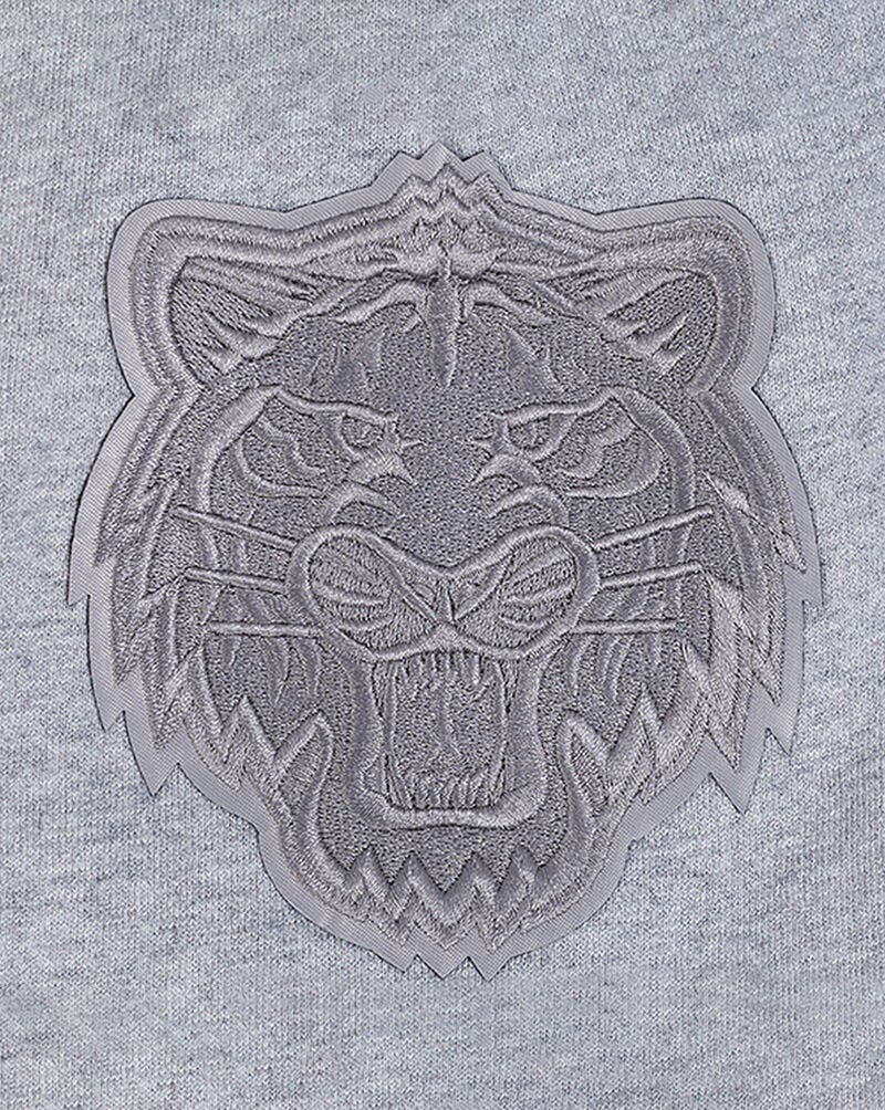 PRO STANDARD Detroit Tigers Neutral Fleece Short  LDT337632-DHG Grey 2