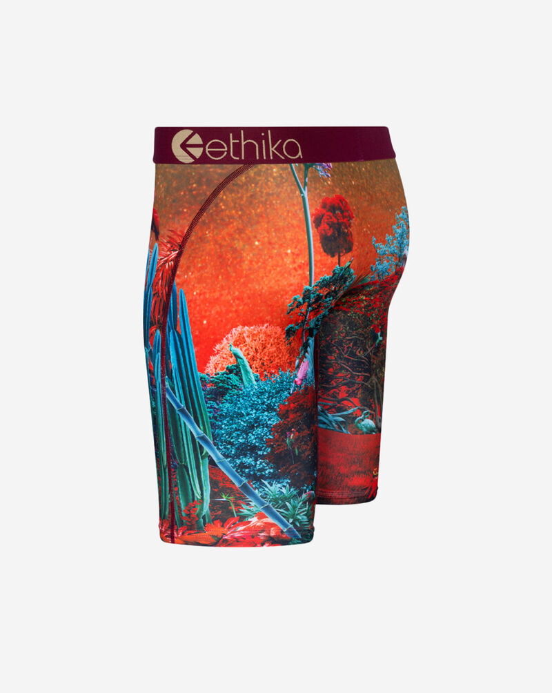 Ethika Forest Tiger Briefs MLUS3176 Multi 2