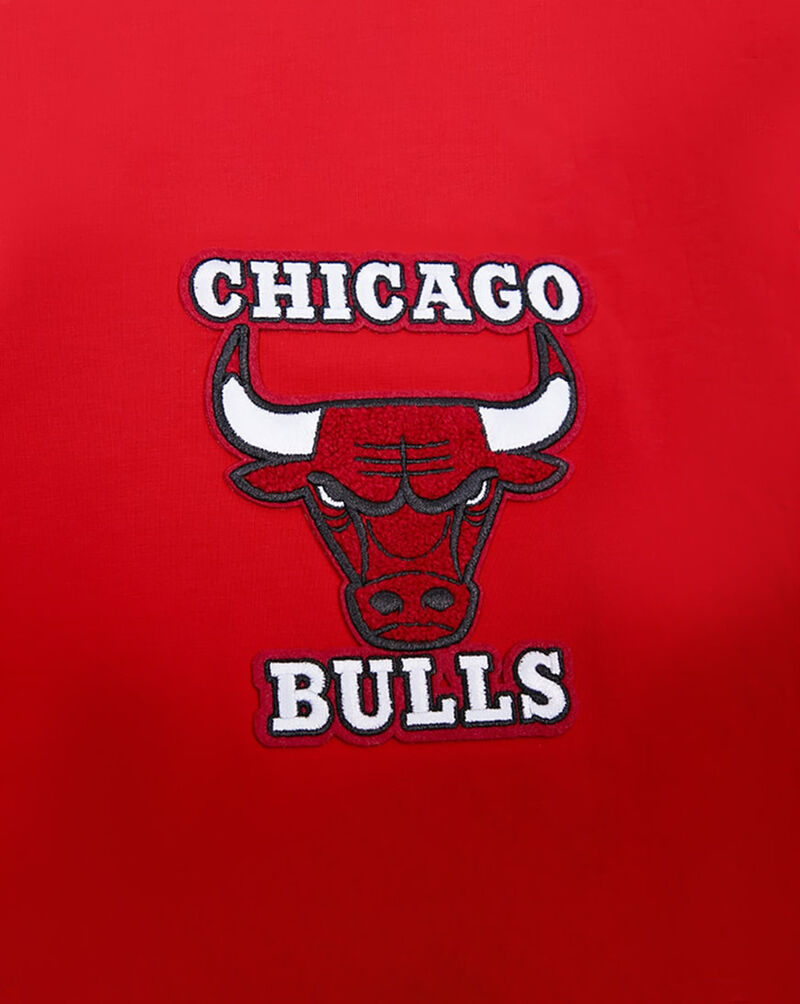 PRO STANDARD Chicago Bulls Retro Classic Striped Tee BCB156010-RBK Red 2