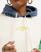 Reverse Weave Colorblock Pullover Hoodie