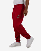 Sugar Hill Sweatpants
