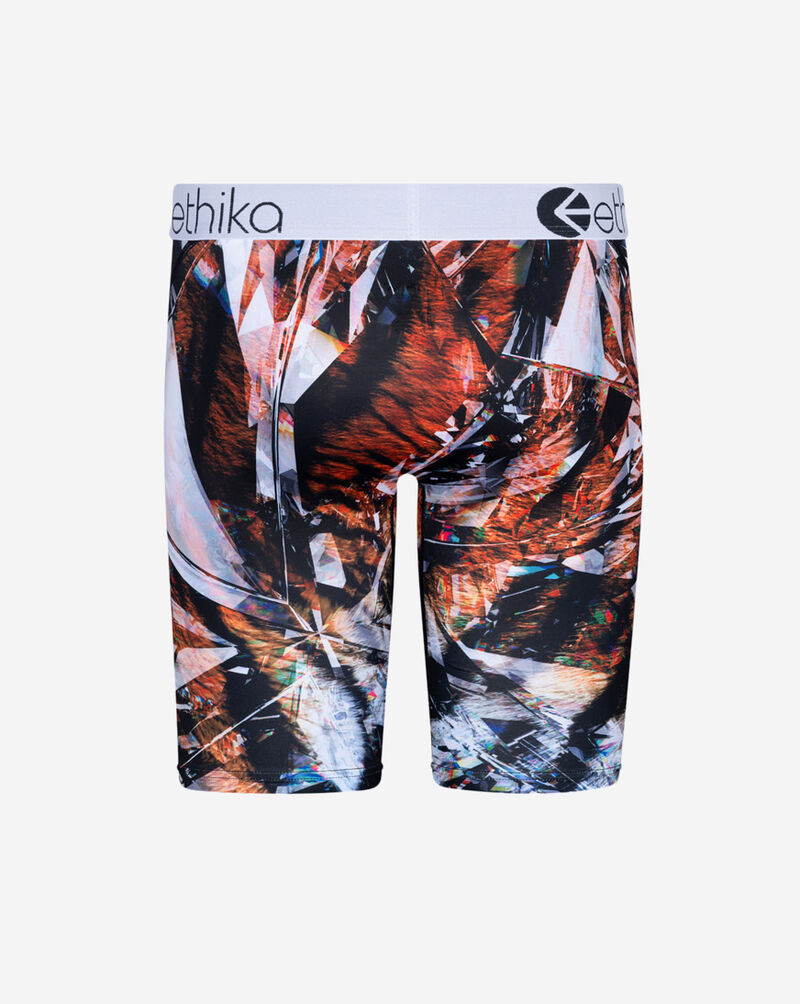 Ethika Glass Tiger Briefs MLUS2975 Multi 3