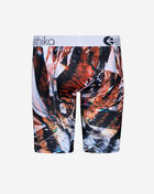 Ethika Glass Tiger Briefs MLUS2975 Multi 3