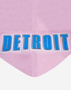 PRO STANDARD Detroit Lions Classic Chenille Double Knit Pull Over Hoodie FDL5410272-PNK Pink 2